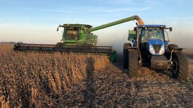 Las lluvias de últimos días mejoraron las condiciones de la cosecha de soja