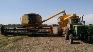 La transformación de los agronegocios: un cambio que alcanza a muchos eslabones