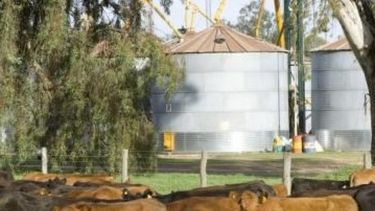 El Senasa simplifica los trámites administrativos de productores