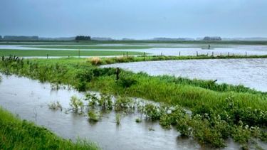 Anticipan precipitaciones de variada intensidad en el área agrícola