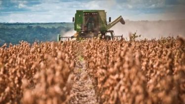 Recientes precipitaciones mejoraron las posibilidades de cosecha