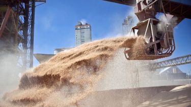 Los despachos de granos en 2020 llegaron a su segundo mayor volumen histórico