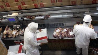 Frigoríficos recuperados buscan bajar el precio de la carne