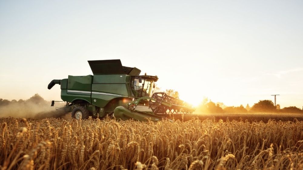 La medida del BCRA que incide en la producción de soja.