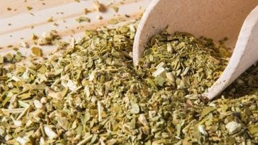 La yerba mate puede aumentar un 20 por ciento