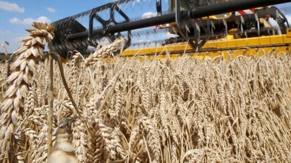 Exportaciones agroindustriales de "La Provincia" subieron 12% en el primer cuatrimestre