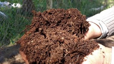 Producirán biofertilizantes a partir de residuos de cerveza artesanal