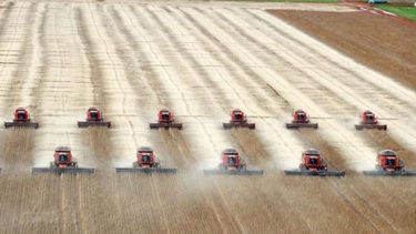 Brasil tendrá su mayor cosecha histórica en 2023