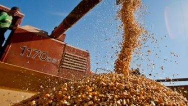 Comienzo de año negativo para la agroexportación