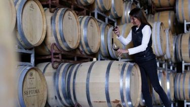 Mendoza oficializó la creación del Banco de Vinos