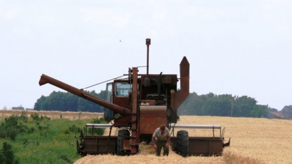 Agroindustria bonaerense recurre a medidas de seguridad por altas temperaturas
