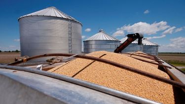 Soja y maíz tuvieron el segundo mejor registro exportador para mayo