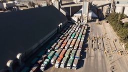 El desempeño del sector agroexportador.