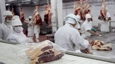 Confirman que el martes comienza el nuevo sistema de troceo