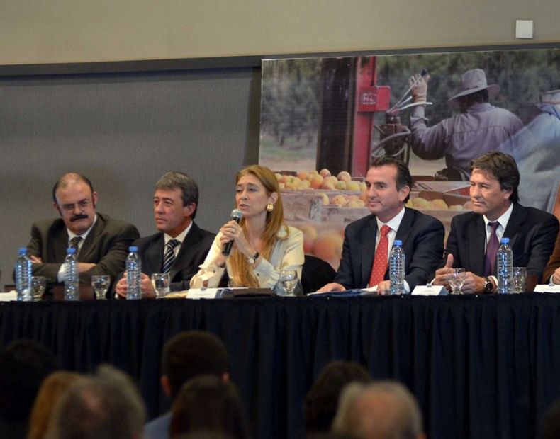 El Gobierno confirmó que "es inminente" un acuerdo con Brasil por los autos