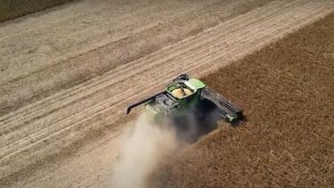 Pequeños y medianos productores que no entraron al PIE recibirán compensaciones