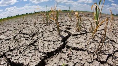 Hay un 70% de chances que se concrete La Niña en el verano, con menos lluvias