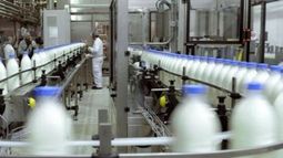 Lácteos aportan el 17,1% del valor agregado de la industria alimenticia nacional