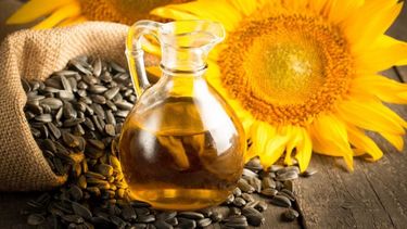 El consumo mundial de aceite de girasol impulsa la siembra de la oleaginosa en Argentina