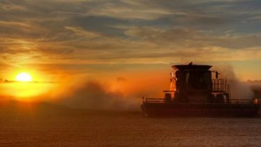 Después de las elecciones: ¿cuáles son las prioridades para el agro?