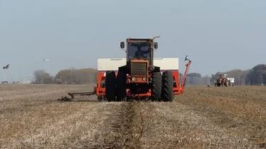 Sembraron unas 2,78 millones de hectáreas de soja en la región pampeana
