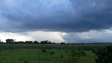 Las lluvias ponen en riesgo a la cosecha de soja y de cereales