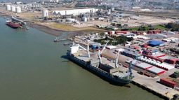 Se descargaron más 181 mil toneladas de granos en el puerto bahiense