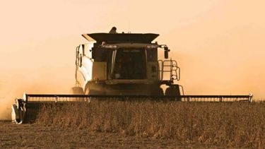 Cosecha de soja del 2016/17 fue la segunda más grande en 17 años