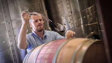 Argentina concluye el año con mejores precios promedio en vinos a granel