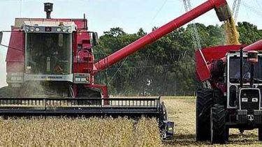 Revelan que productores argentinos retrasan ventas de nueva cosecha soja