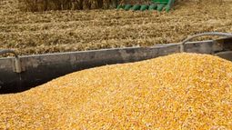 La entrada de dólares por agroexportación sigue con tendencia negativa
