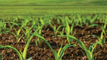 Soluciones para conservar el suelo