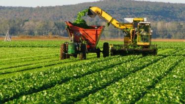 El agro le pide al Gobierno apostar por el diálogo con el Mercosur