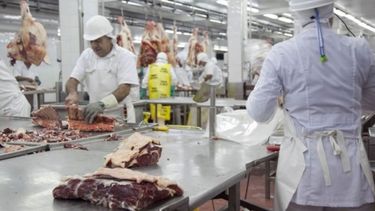 Buscan aumentar la oferta de carne a 5 millones de toneladas anuales