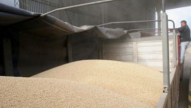 La molienda de soja fue de 1,68 millones de toneladas en marzo