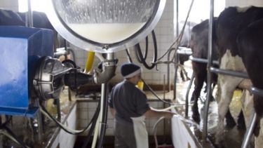 Aumenta la asistencia oficial para productores lecheros de Santa Fe y Córdoba