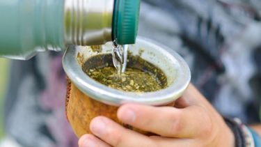 El consumo de yerba mate tuvo una merma mayor a 4% en mayo