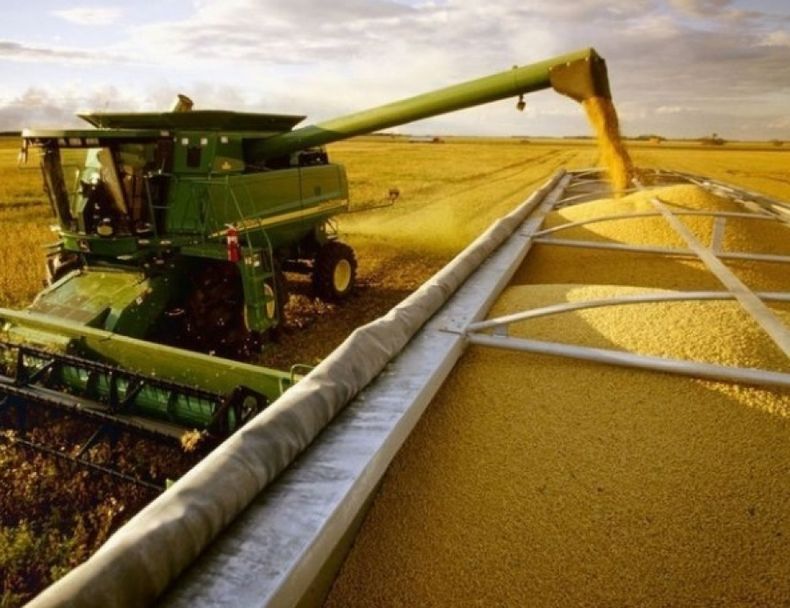 La actividad agroexportadora superó los U$S 500 millones la semana pasada