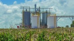 Se abre el debate sobre el proyecto de ley de biocombustibles