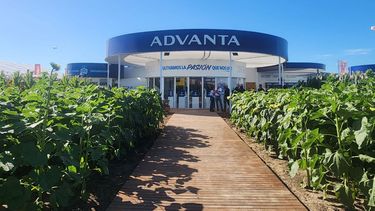 La respuesta para los productores.