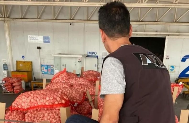 Denunciaron a exportadores de ajo por irregularidades comerciales