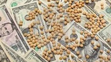 Piden que se baje la presión impositiva sobre el agro