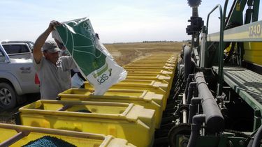 El foco de control en el primer punto de entrega del grano.