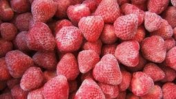 Mar del Plata exportará frutilla congelada a Brasil y Estados Unidos