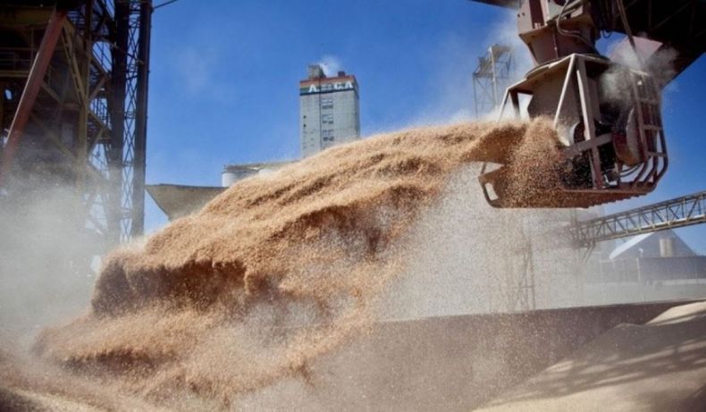 Las exportaciones de granos superarían este año los US$ 40.000 millones