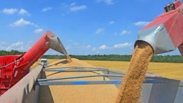 Agilizan las operaciones de compraventa de granos