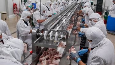 Producción de carne aviar descendió 4% en once meses de 2016