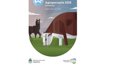 Argentina tiene más de 130 mil establecimientos de ganadería vacuna