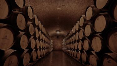 La bodega Pascual Toso opera desde hace más de 130 años en Mendoza e integra toda la cadena de producción vitivinícola.