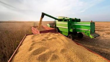 En una década, la producción sojera subió 10% en Argentina, mientras en Brasil se duplicó
